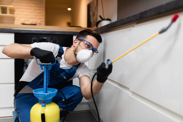 Best Termite Control Services  in Koontz Lake, IN