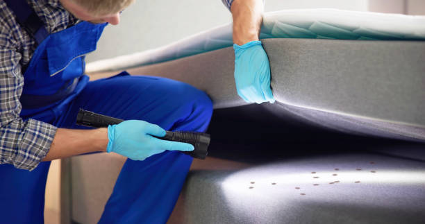 Reliable Koontz Lake, IN Pest Control Solutions