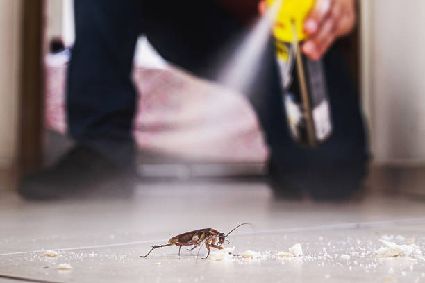 Best Insect Control  in Koontz Lake, IN
