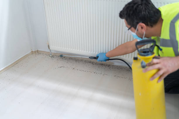 Best Best Pest Control Companies  in Koontz Lake, IN