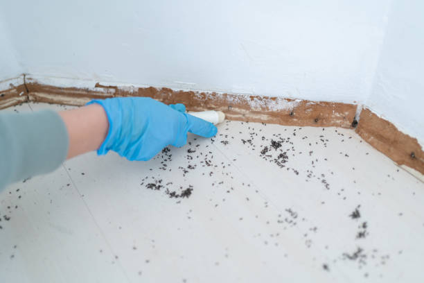 Insect Control in Koontz Lake, IN